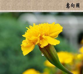 竼