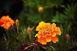 扣人心弦的说说短句 深刻走心的心情句子23句