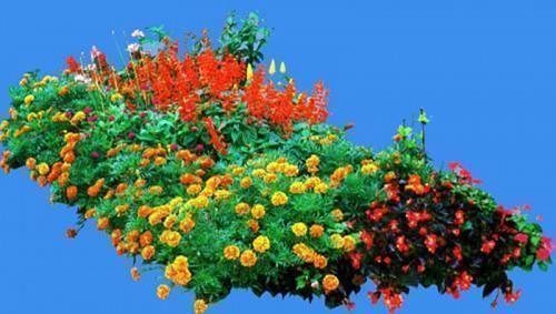 2020新学期加油的句子