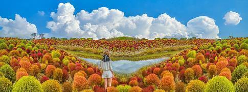 寒露说说朋友圈祝福语