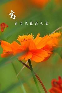 踏晓