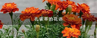 顺纳