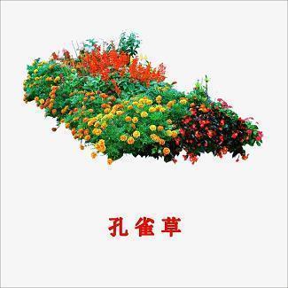 璌