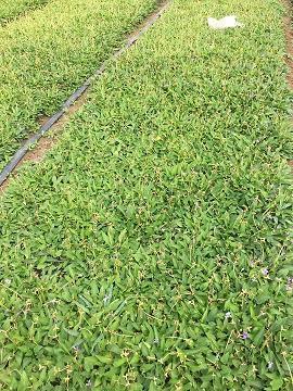 下雨感慨说说心情 雨天的心情说说(精选46句)