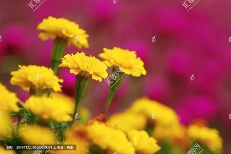 2021高中开学祝福语一句话(精选52条)