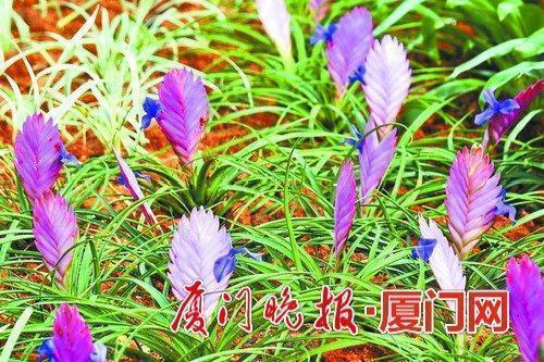 重气轻身