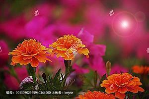 对亲威失望看透的句子