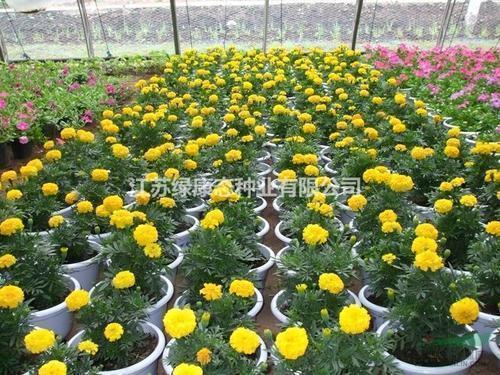 一家三口发朋友圈说说(精选30句)