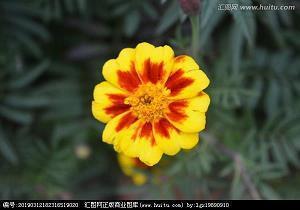 2021年欢庆劳动节简单快乐的祝福语合集97句