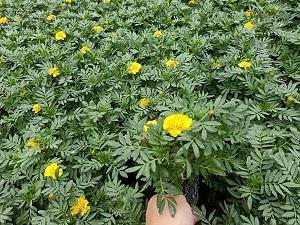 个性经典幽默说说笑死人