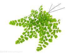 2021生日快乐祝福语简短(精选47条)