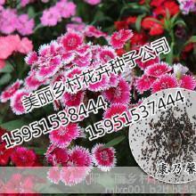 我在改变只是时间来不及 感悟生活的经典句子心情说说