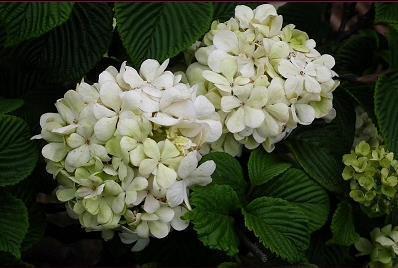 励志的句子致自己简短霸气大全-相关励志句子摘抄汇总36句