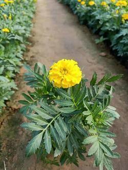 关于包容的说说