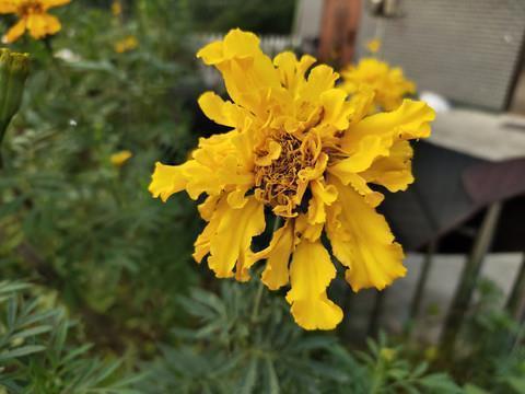 文艺空间说说短语