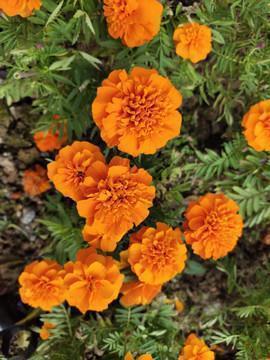 2020即将过去了发朋友圈的句子57句