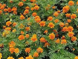 夜已深，心情却极其复杂 表达伤感心酸的爱情句子(精选37句)