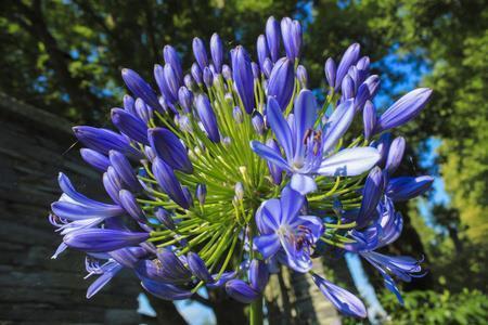 大学毕业感言一句话简短文艺说说 适合毕业发的朋友圈文案