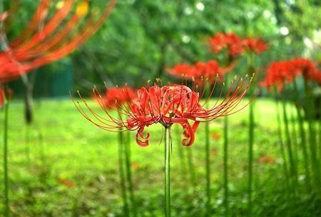 新年祝福语2021最火牛年