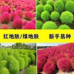 2021年立春节气经典祝福语简短