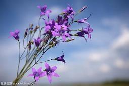 睎