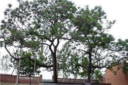 2021冬天的第一杯奶茶文案 收到冬天第一杯奶茶的说说