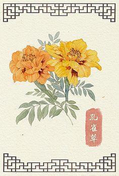 驰步