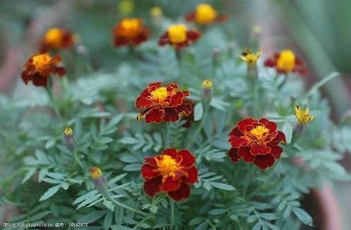 再见2020年你好2021年抖音热门说说