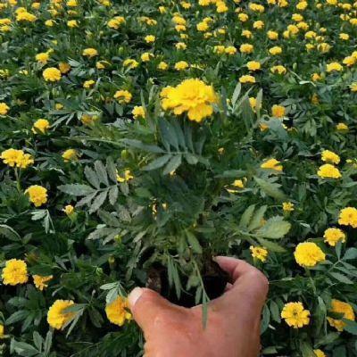 久违的朋友相聚的心情说说 相聚短暂又快乐的句子49句