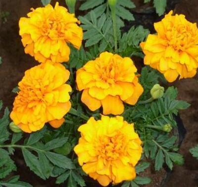 人生感悟的说说 这个社会很现实的说说79句