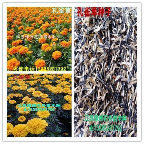 小仙女儿童节发的小句子 六一可爱搞笑文案