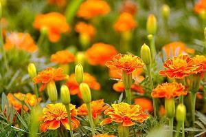 2021最新3月14日情人节的浪漫精选祝福语