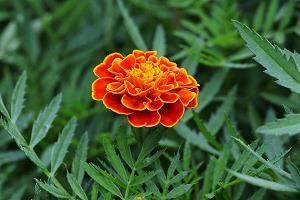 2021你好朋友圈经典文案句子说说66句