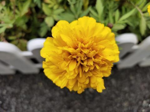 矢石之间