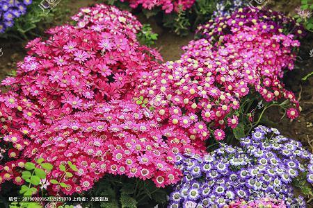 解闷必备的朋友圈文案 专治不开心的搞笑段子(精选32句)