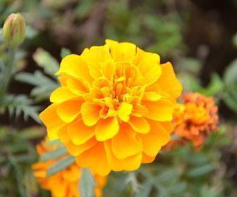 一句话个性说说简短句子 喜欢顺其自然喜欢简简单单