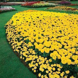 2021五四青年节活力满满的祝福短信汇总94句