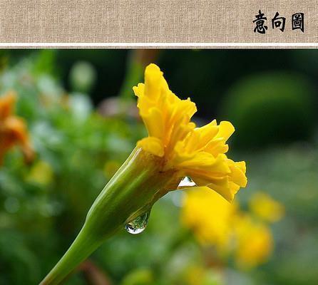 有深意的文案短句大全 简短有深意的文案(精选45句)