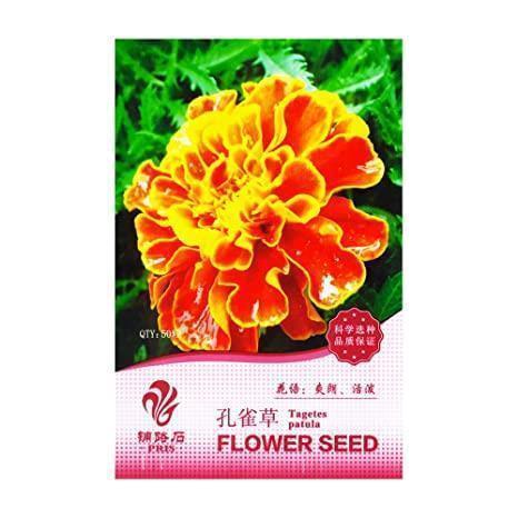 2021母亲节好词好句最新大全合集51句