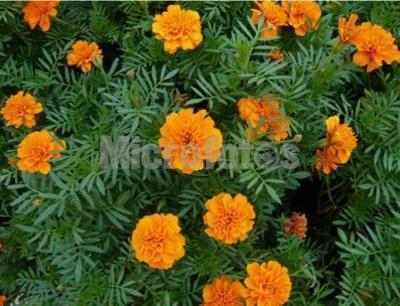 一个人跨年的幽默句子朋友圈文案