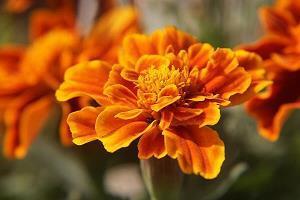 工作心烦喝酒的句子