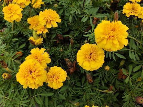 心疼自己伤感的句子39句