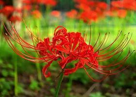 六一儿童节幽默祝福语大全