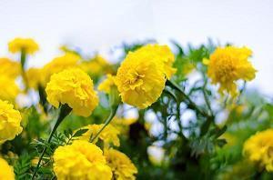 励志晚安语录推荐39句