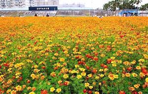 2021国庆节祝福语简短20字(精选77条)