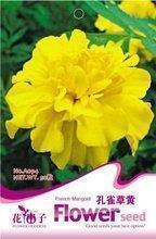 有点小忧伤的心情说说小伤心的说说心情