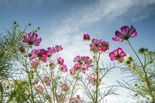 2021愚人节朋友圈说说心情短语