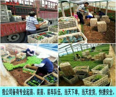 一个人心酸伤感的说说短语句子18句
