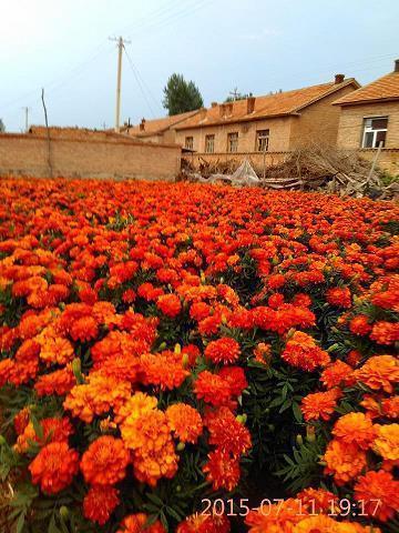 关于自己压抑心累的句子说说心情(精选37句)