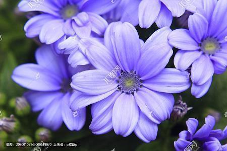 关于晒太阳的唯美短句_午后惬意的阳光朋友圈段子